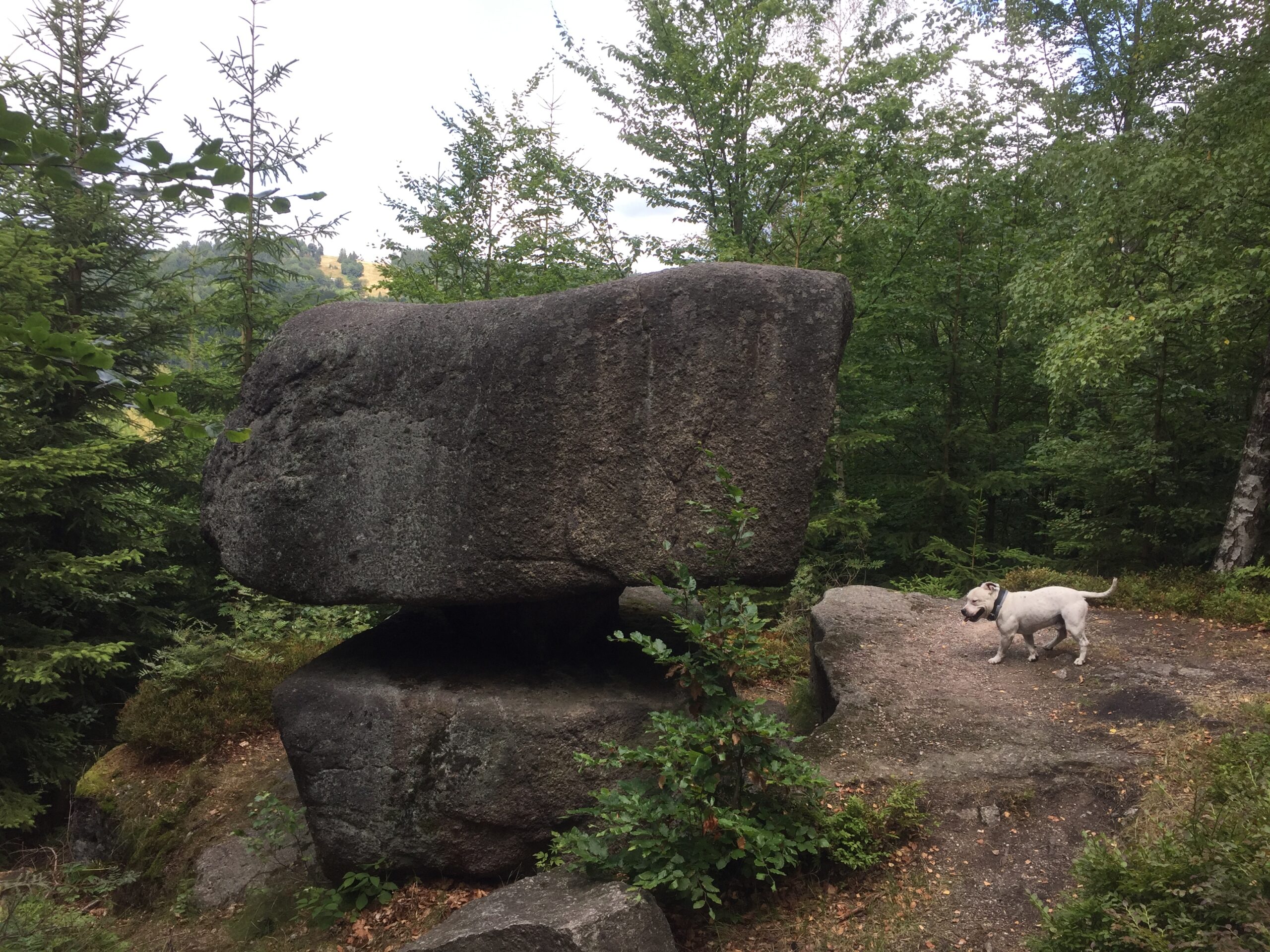 Černostudniční hřeben