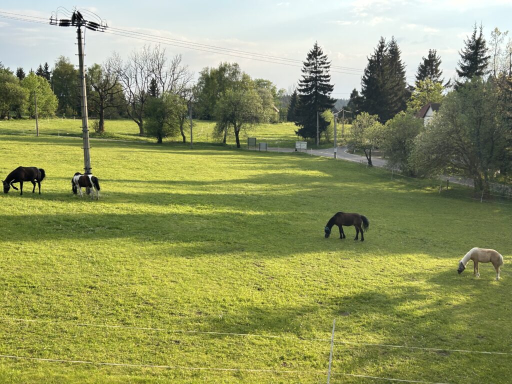 Pohled z velké ložnice v patře