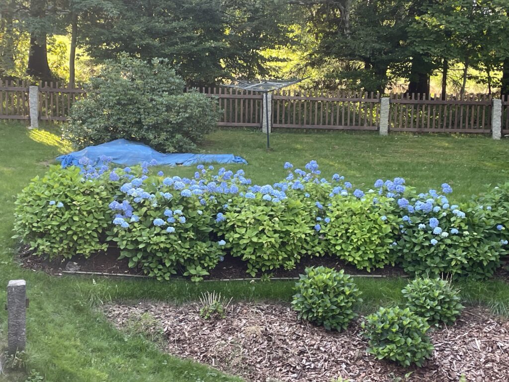 Pohled z patra na zadní zahrádku